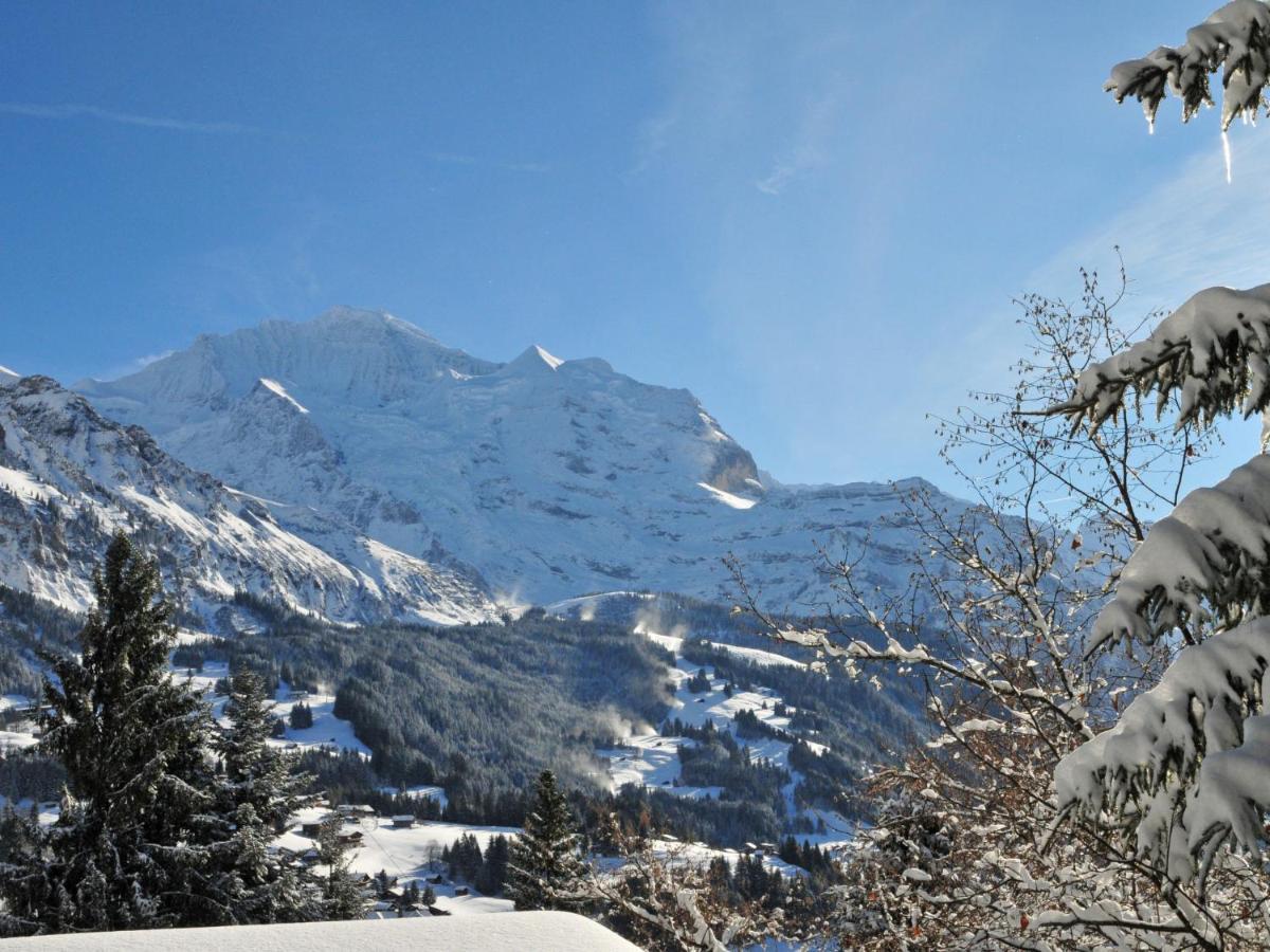 Studio Chalet Silence By Interhome Wengen Luaran gambar